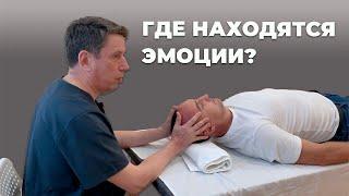 Где находятся эмоции | Специалист по биодинамике Маслов Дмитрий