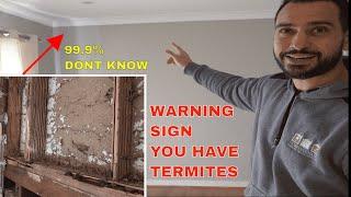 Termites in your house - Warning signs and damage