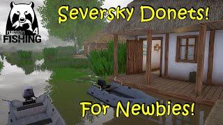 Russian Fishing 4 Seversky Donets River For Newbies!