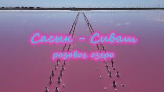 Розовое озеро Сасык-Сиваш [Крым, Евпатория]  Pink lake Sasyk-Syvash [Crimea 4k drone footage]