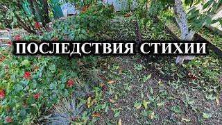 680ч Жизнь семьи на Кубани/Свой дом на юге/Ремонт своими руками