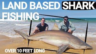 INSANE Land Based SHARK Fishing TRIP - 9 & 10 ft Long MASSIVE FISH With DRONE Footage