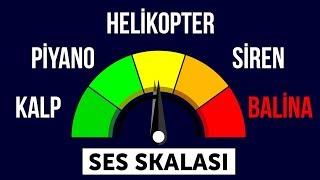 En Düşüğünden En Yükseğine, Evrendeki Tüm Sesler