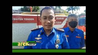 TUBAN - SATPOL PP DAN DAMKAR TUBAN TANGKAP PULUHAN ULAR PITON