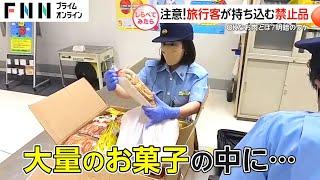 要注意！旅行客が持ち込む禁止品を徹底調査【しらべてみたら】