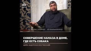 Совершение намаза в доме где есть собака. Отвечает Абдулла Костекский