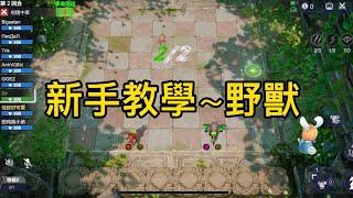 《多多自走棋》新手教學②～六野獸詳細思路