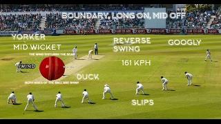 THE SCIENCE BEHIND CRICKET - NGC (science of sport)