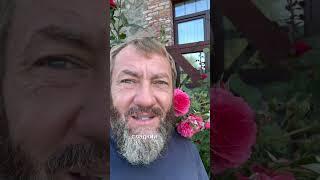 Вся красота жизни в нас.. в наших мыслях и действиях.