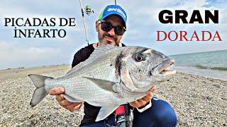 ESPECTACULAR DIA DE PESCA, SURFCASTING GRANADA... MUCHAS CAPTURAS