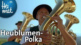 Schönegger Almmusikanten: Heublumen-Polka | Mit Blasmusik durch Bayern l BR Heimat - Volksmusik