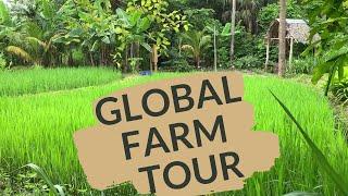 ECHO Global Farm | Florida Farm Tour