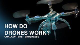 How Do Drones Work? Quadcopters - Brushless