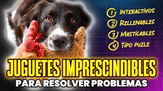 JUGUETES para PERROS [+cómo usarlos BIEN] #juguetesparaperros  #comportamientocanino