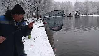 Рыбалка на Нижнем водоёме. Клёвое место Лосиный остров.