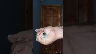 Эспандер хеви грип 300 закрытие с установкой. Нагрузка 100 кг.