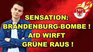 Brandenburg-BOMBE! AfD wirft GRÜNE RAUS!