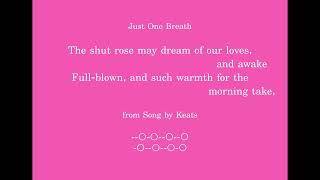 Beautiful Words - Shut Rose