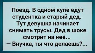 Студентка и Старый Дед в Купе! Сборник Свежих Веселых Анекдотов! Юмор!