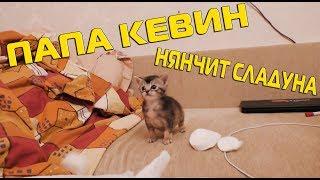 ПАПА КЕВИН НЯНЧИТ СЛАДУНА