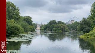 St. James's Park London Walk - An Historical London Tour with Elephants & Pelicans