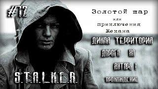 Дикая территория и дорога на Янтарь. STALKER Золотой Шар : Завершение #12