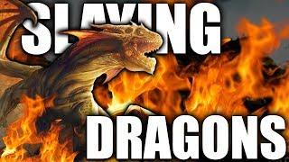 Witcher 3 - SLAYING DRAGONS & Other Draconids - Witcher Lore & Mythology