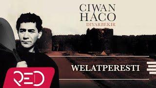 Ciwan Haco -  Welatperesti【Remastered】 (Official Audio)