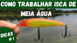 How to use a X rap rapala jerkbait! Peacockbass fishing.#fishing