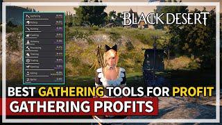 Best Types of Gathering for Profits for Beginners and Experts | Black Desert