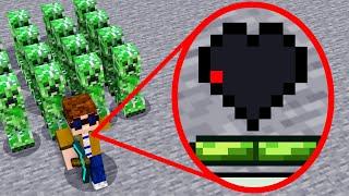 Minecraft mit 0,1 PIXEL HERZ DURCHSPIELEN!