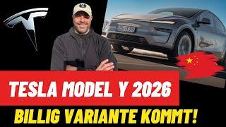 Tesla Model Y: Billig Variante kommt! Auch für Deutschland ?