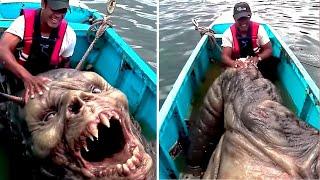 Mysterious Sea Creatures That Got Caught on Camera!