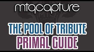 The Pool of Tribute - Lv.63 Trial Guide