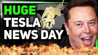 Tesla Shares Robotaxi Service Details / FSD Approval in EU / Elon Says 5 Critical Words ️