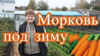 Посадка моркови под зиму. Подготовка грядок. (4.10.16 г. )