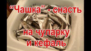 Чашка - снасть для ловли чуларки и кефали