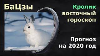 Прогноз на 2020 год для людей, рожденных в год кролика. Китайская астрология бацзы