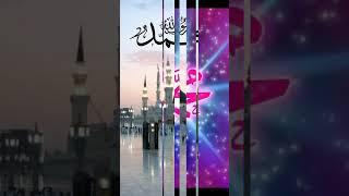 Zikr Allah o Rasool #beautifull  #islamicvideoes #youtubeshorts #viralshorts #viralnaat