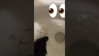 CLEAN WITH ME! Putting my hand in the toilet ( DEEP CLEANING)