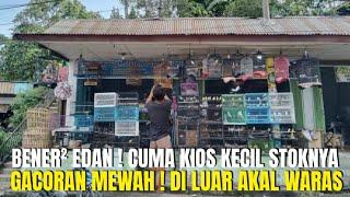 BENER² EDAN ! CUMA KIOS KECIL STOKNYA GACORAN MEWAH DI LUAR AKAL WARAS ! PANTESAN DI CARI