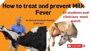 Unveiling the Secrets of Milk Fever Treatment: A Vet's Perspective!