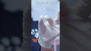 How to prepare a veterinary urine sediment sample #veterinary #clinicalskills #vetacademy #shorts