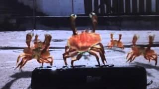 Kulululu - Crab Dad