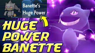 Huge Power Banette!  Pokemon Scarlet and Violet VGC 2023 Competitive Ranked Wifi Battle