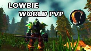 Low-Level Markmanship Hunter 25+ World PvP! | WoW Classic Era