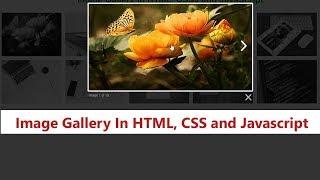 How To Create Image Gallery In HTML, CSS and Javascript | Lightbox Gallery