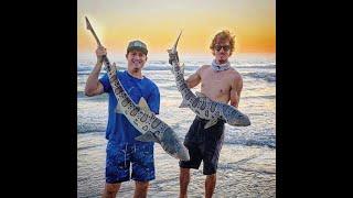 Leopard Shark Fishing! How to Catch Big Sharks from the Beach