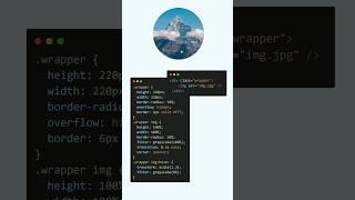 Image Hover Animation in HTML & CSS #coding#codeprojects #shorts  #webdevelopmentcourses #html