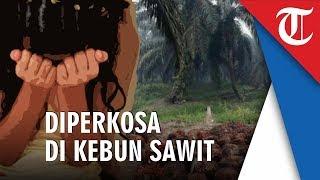 'Gilir' Gadis 16 Tahun di Kebun Sawit, 2 Pria Diciduk Polisi